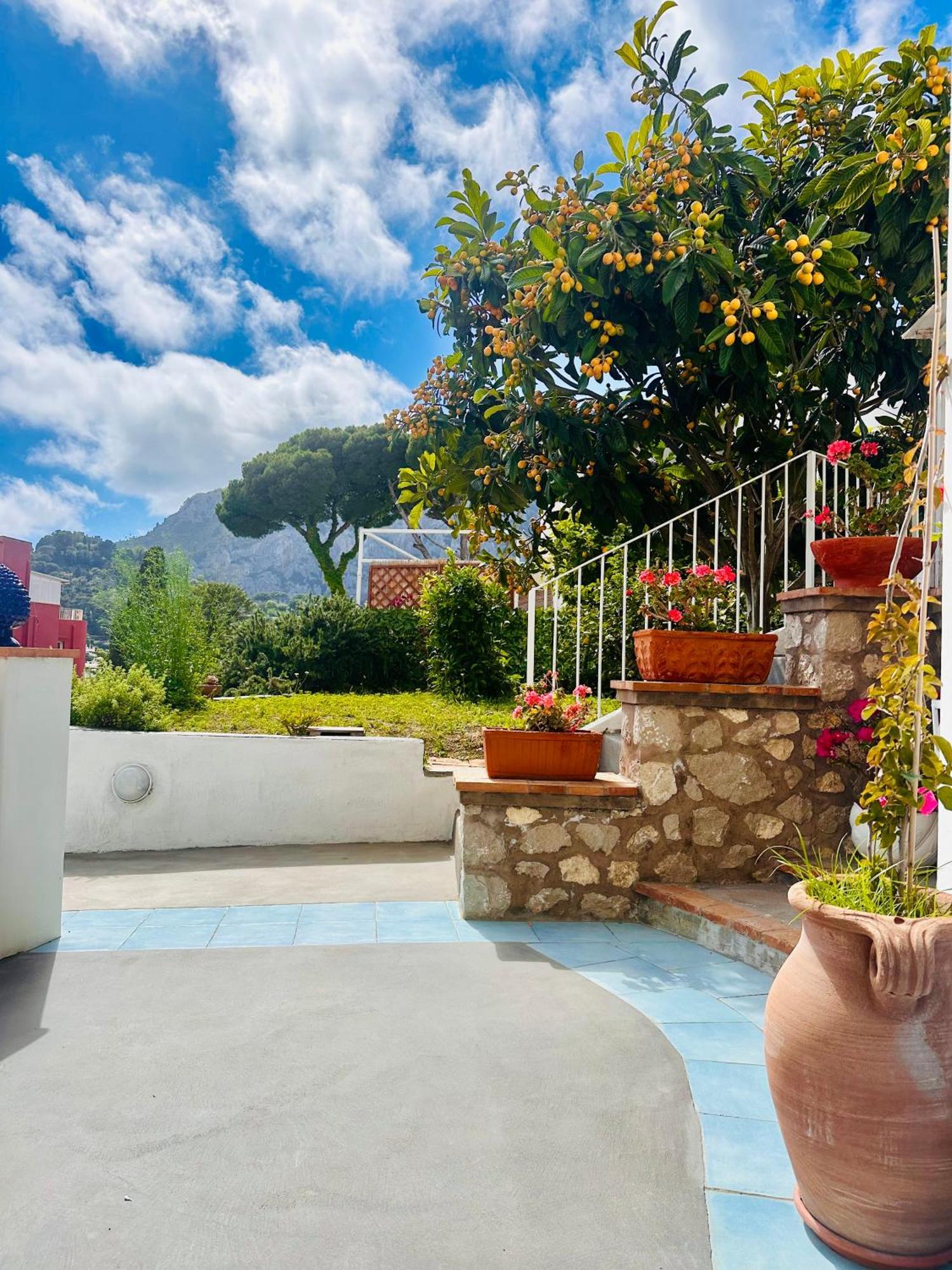فيلا Capri Joy المظهر الخارجي الصورة